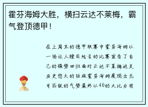 霍芬海姆大胜，横扫云达不莱梅，霸气登顶德甲！